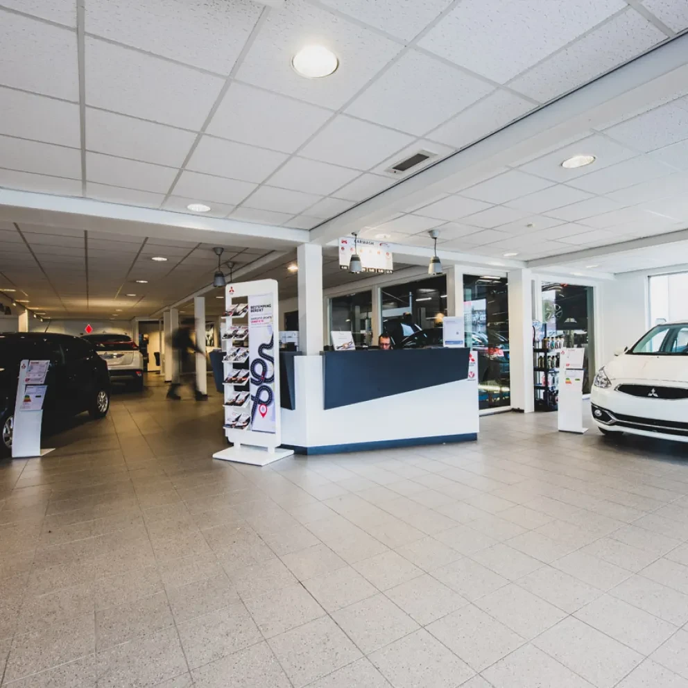 Algemene voorwaarden